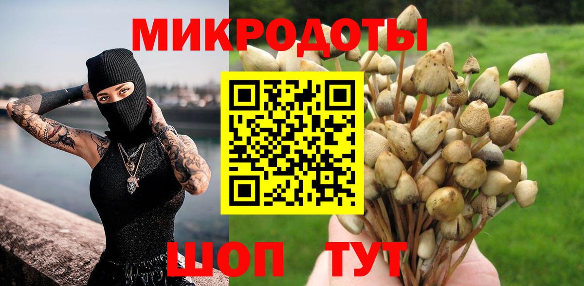 Галлюциногенные грибы Cubensis Мелеуз
